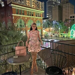 Bronx and Banco Jasmine Embroidered Floral Applique Mini Dress